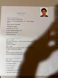 Cameriere/banconiere/cassiere/comesso