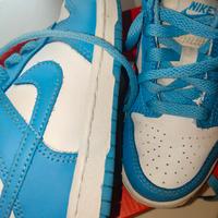 Dunk azzurre numero 28