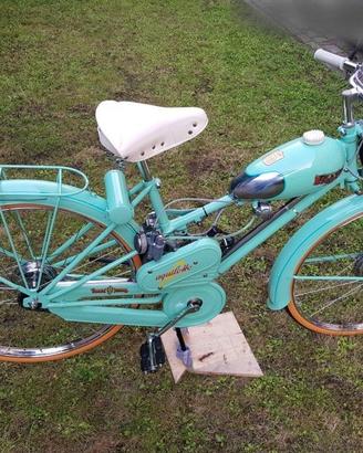 bianchi aquilotto