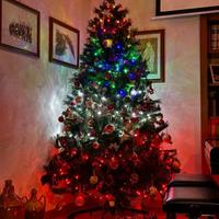 albero di natale