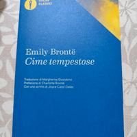 lotto libri vari (36 libri) 