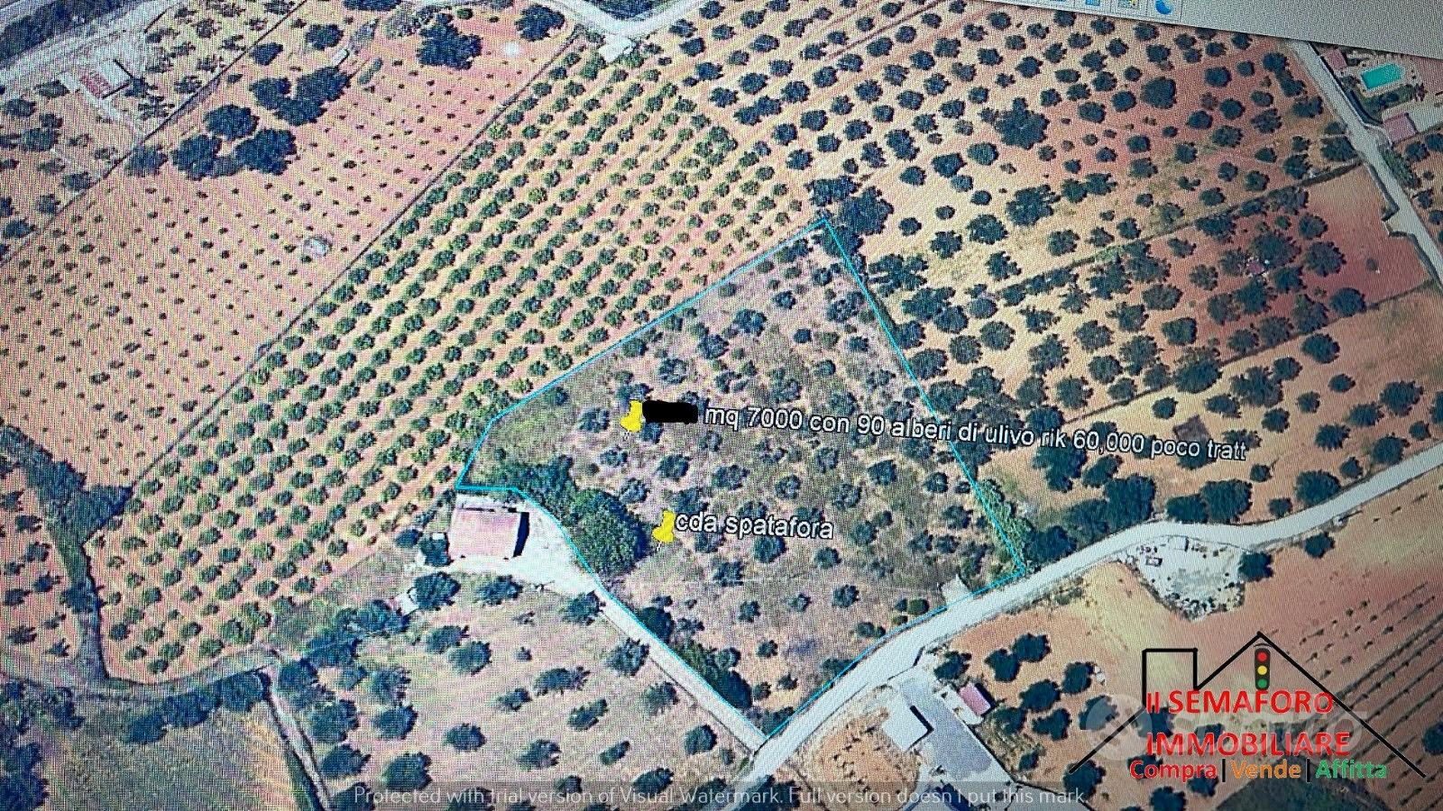Terreno Contrada Spadafora (Rif.1505) - Vista 2