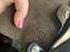 Immagine 6
