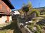 Immagine 28