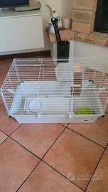 gabbia roditori 