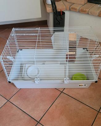 gabbia roditori 