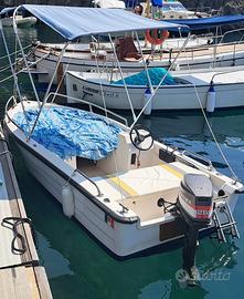 Barca Open + carrello omologato