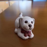 Thun Cagnolino