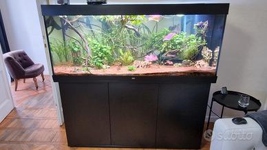 Acquario Juwel Rio 450