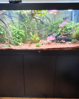 Acquario Juwel Rio 450