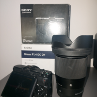 Sony Sigma 16mm f1.4 C