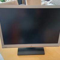 Monitor 20' con attacco seriale
