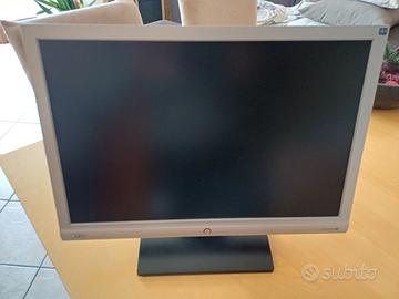 Monitor 20' con attacco seriale