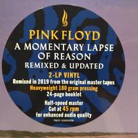 Pink Floyd - Momentary Lapse of Reason