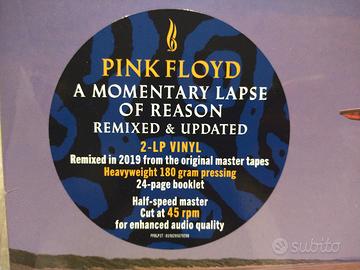 Pink Floyd - Momentary Lapse of Reason