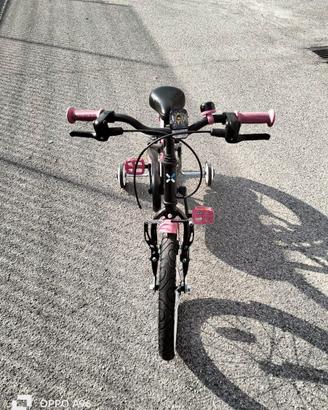 Bicicletta