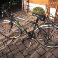 bicicletta uomo city