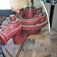 Torchio vintage per uva o arredamento