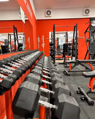 Attrezzatura palestra professionale