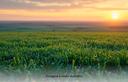 terreno-edificabile-a-pantelleria-tp-