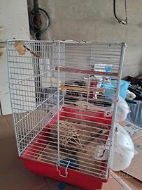 gabbietta per uccelli