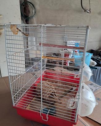 gabbietta per uccelli