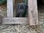 Immagine 6
