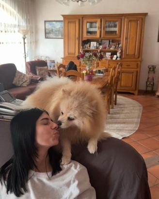 Pet sitter