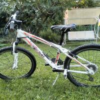 Bici Torpado 20" 
