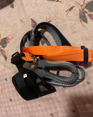 Guinzaglio, colar, tagliaunghie, museruola nuovo