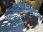Immagine 6
