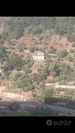 Casa rurale in comodato d'uso gratuito
