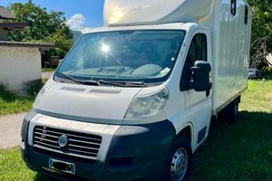 FIAT DUCATO 2.3 120 cv - TRASPORTO CAVALLI