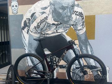 TREK PROCALIBER 9,7 TG L 2026