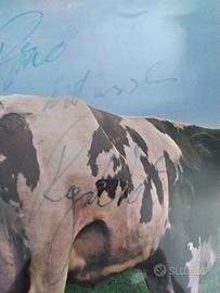 PINK FLOYD AUTOGRAFO ROGER WATERS
