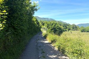 TERRENO A SOLTO COLLINA