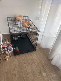 Kennel