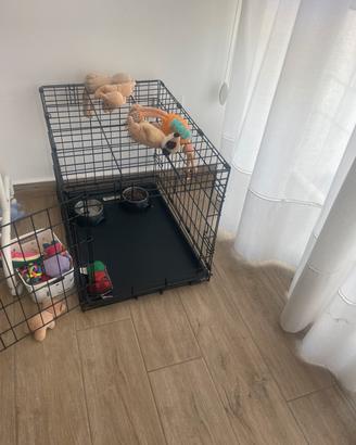 Kennel