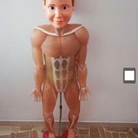 Enciclopedia del corpo umano completa di manichino