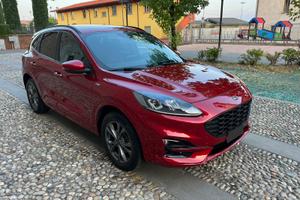 Ford Kuga 2.0 EcoBlue 150 CV aut. AWD ST-Line