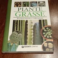 piante grasse 