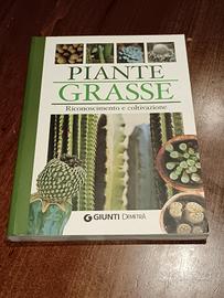piante grasse 