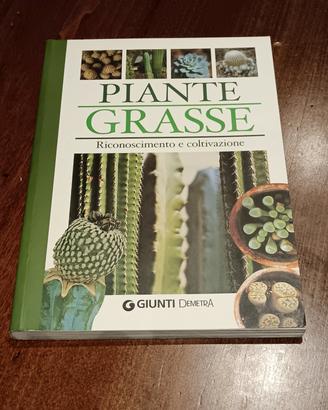 piante grasse 