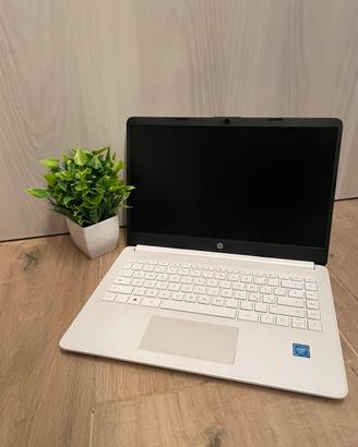 Portatile HP IntelCorei5 8/512SSD Win11