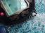 Immagine 4