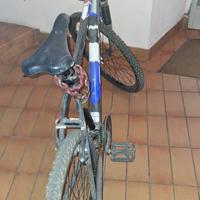 2 biciclette