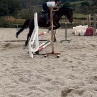 Cavallo