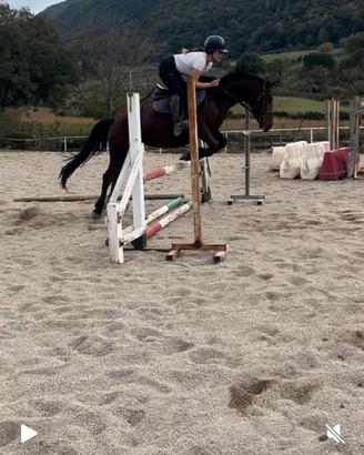 Cavallo