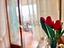 Immagine 7