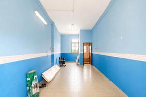 Locale / Ufficio - San Pietro Magisano (CZ)
